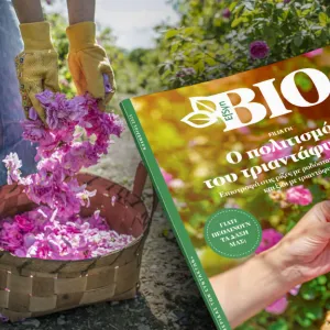 bio