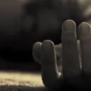 kakopoiisi