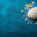 Brain_1020