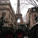 agrotes paris