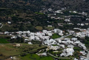 oikopeda