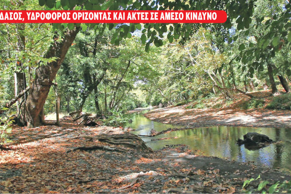 ΕΠΠΑνάσταση για την ΤΕΡΝΑ στο Μαντούδι
