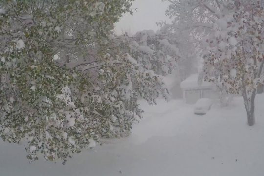 Το απέραντο  λευκό
