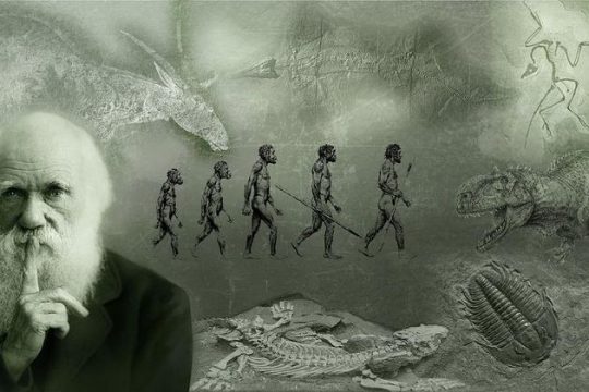 Το βιολογικό ρίζωμα της ανθρώπινης ηθικής