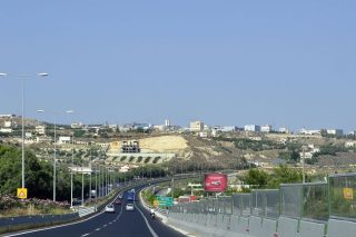 Δεν είναι BOAK, είναι κροταλίας και καταπίνει οδηγούς