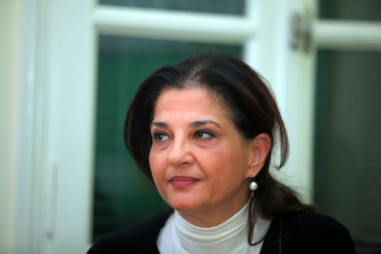 Αποχώρηση της Ιωάννας Κοντούλη από τους Οικολόγους Πράσινους