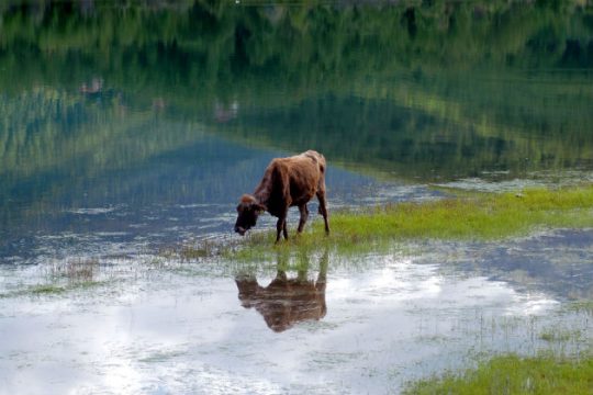 Ζεστός καιρός, με νοτιάδες