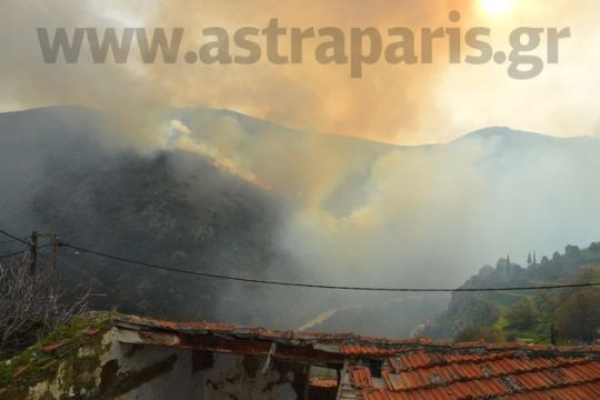 Στις φλόγες ξανά η Αμανή
