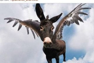 Στόχος το άσυλο της κατοικίας