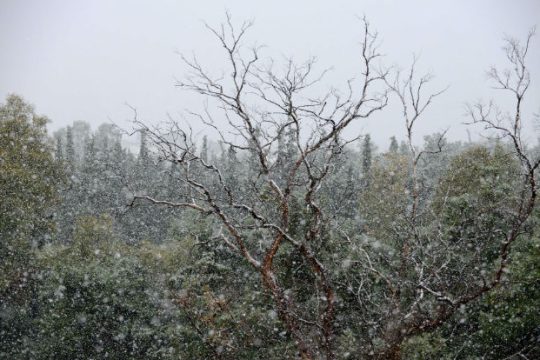 Πέφτουν τα πρώτα χιόνια στην Πελοπόννησο