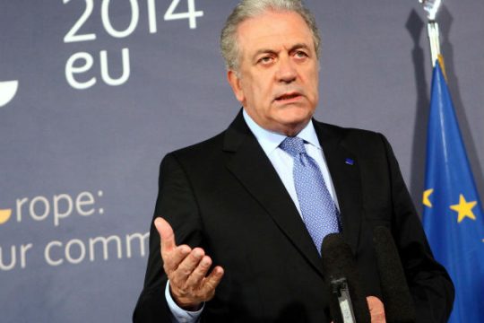 O Πρόεδρος, το δέντρο, ο πόλεμος