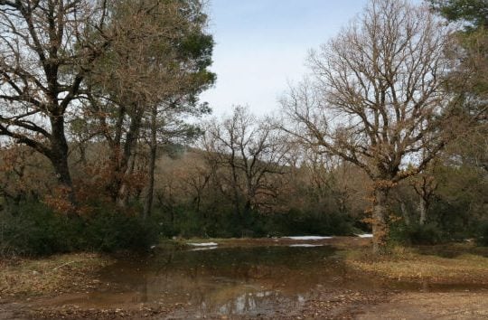 Βροχερός καιρός σε όλη τη χώρα