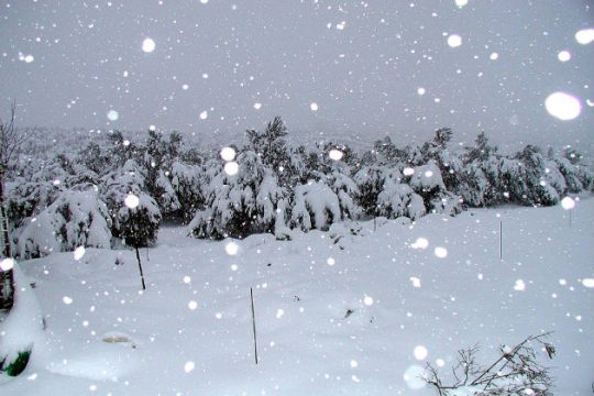 Προβλήματα στην Κρήτη από τη σφοδρή κακοκαιρία