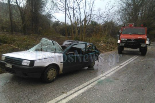 Δένδρο καταπλάκωσε Ι.Χ. στη Μυτιλήνη, νεκρή η οδηγός