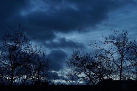 Η ποιητική ωριμότητα των πρωτοεμφανιζόμενων
