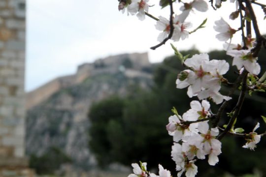«Το μόνο που λέμε είναι “Δώστε στην Ελλάδα μια ευκαιρία”»