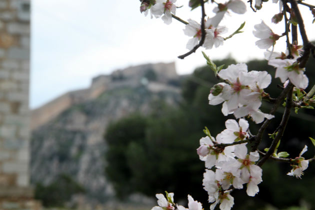 «Το μόνο που λέμε είναι “Δώστε στην Ελλάδα μια ευκαιρία”»