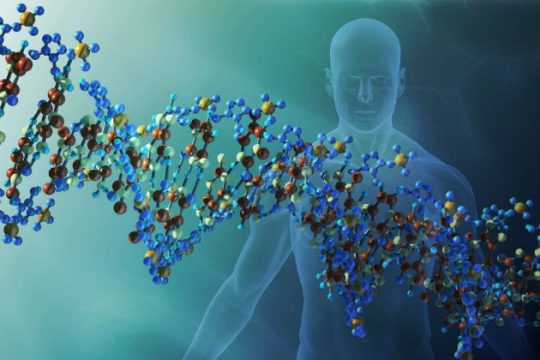 To DNA της… παχυσαρκίας