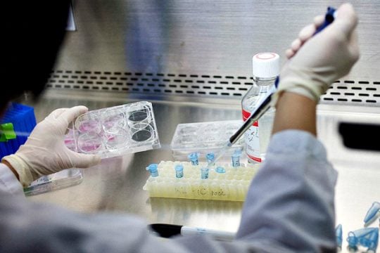 Εγκρίθηκε το πρώτο φάρμακο με βλαστοκύτταρα