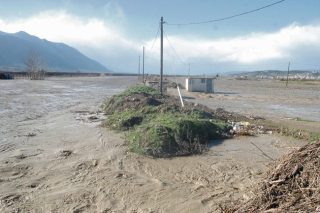 Κατέβηκε το βουνό στην Ευρυτανία