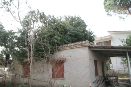Άμεση εκτίμηση των ζημιών ζήτησε ο υπουργός Αγροτικής Ανάπτυξης