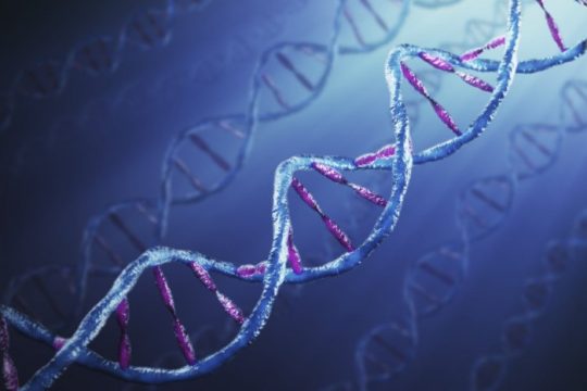 Η Γερμανία και το DNA της εξωτερικής πολιτικής