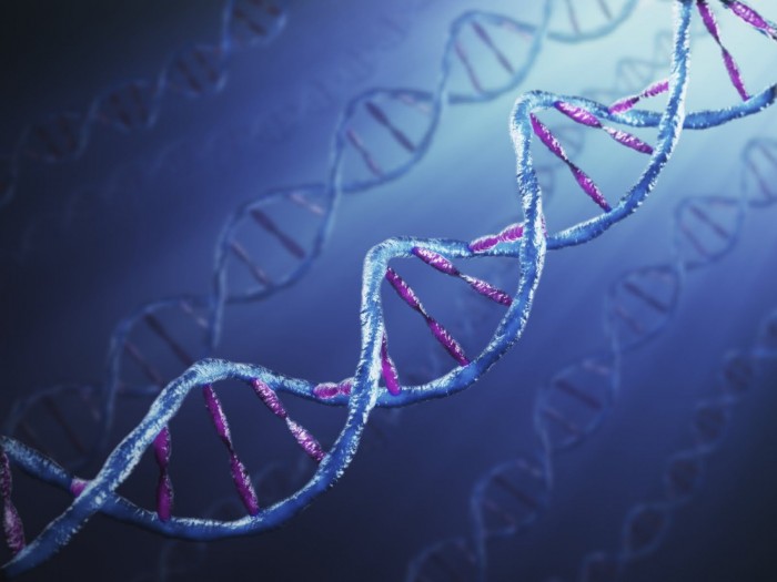 Η Γερμανία και το DNA της εξωτερικής πολιτικής