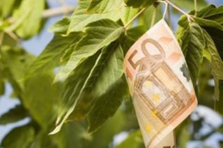 Ευτυχώς, που φύτεψαν… ευρωπουλιές!