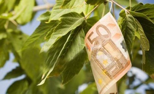 Ευτυχώς, που φύτεψαν… ευρωπουλιές!