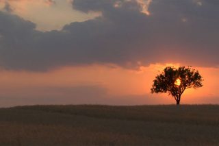 Βραβεία με ανθρωπιστικό προσανατολισμό