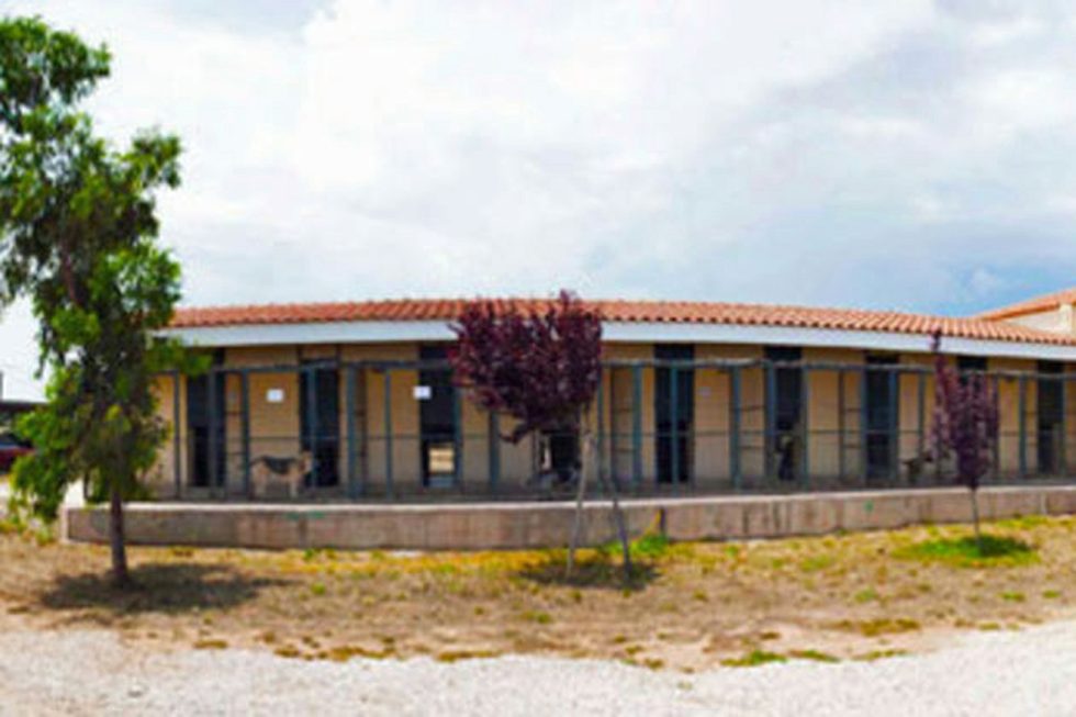 Για τα 40χρονα της ΕΦΕ (Ελληνική Φιλοζωική Εταιρεία)
