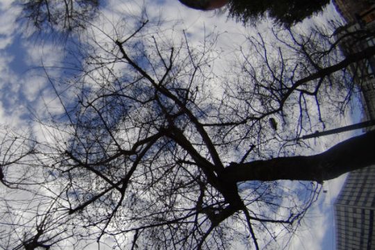 Χειμωνιάτικο παραμένει το σκηνικό του καιρού