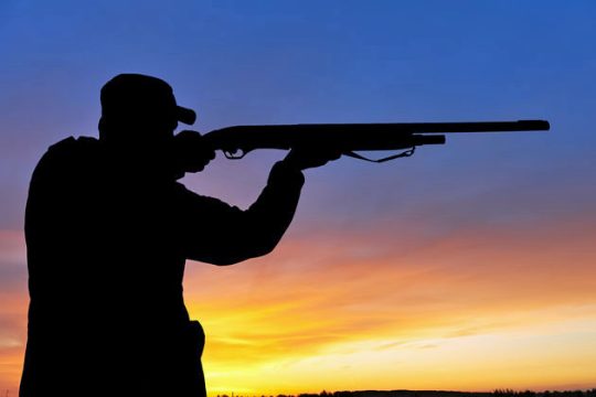 Μπαλοθιές στο ψαχνό, γιατί «πείραξαν» τον γιο του