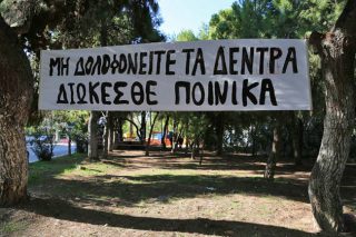 Πικροδάφνη ρέμα