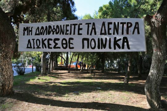 Πικροδάφνη ρέμα