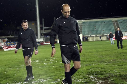 Η βροχή έδωσε… τροφή