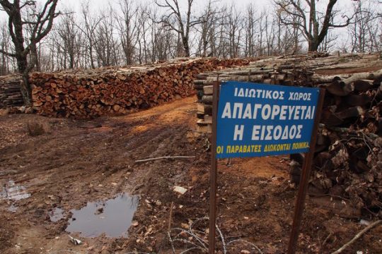 H «Eldorado», ο Ντάισελμπλουμ και η ολλανδική φορολογική νομοθεσία