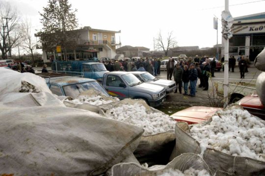 Πληρωμή των βαμβακοπαραγωγών