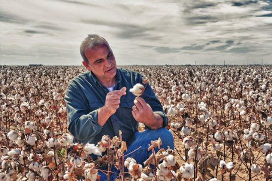 Αναμονή για τις ενισχύσεις