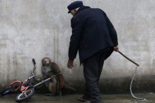 Ο πλανήτης αυτός ανήκει σε όλους