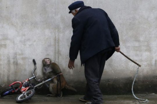 Ο πλανήτης αυτός ανήκει σε όλους