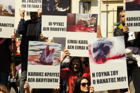 «Κάποιες κραυγές δεν ακούγονται»