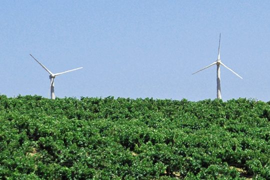 Ούριος άνεμος από ΣτΕ για τα αιολικά πάρκα