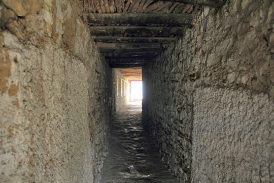 Η ζωή του κοστολογείται 5.000 €