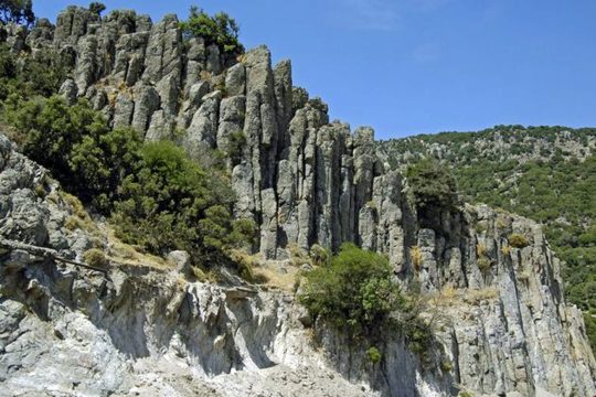 Ανακαλύπτοντας στη Λέσβο την «Πομπηία των φυτών»