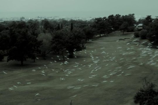 Γράμματα (κατόπιν εορτής) σε ποιητές