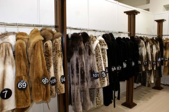 Αναβάθμιση των σχέσεων Ελλάδας – Ρωσίας