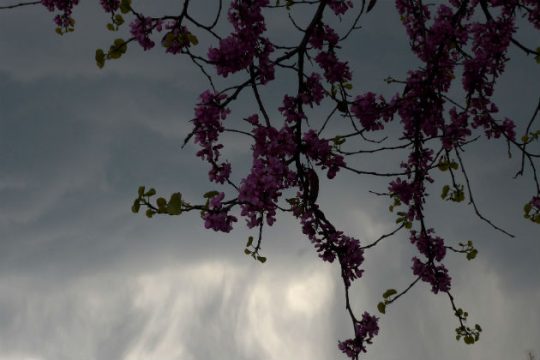 Με βροχές και πτώση της θερμοκρασίας αρχίζει η εβδομάδα