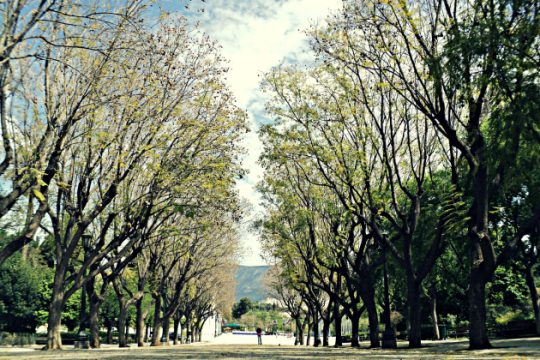 Ηλιόλουστος καιρός με άνοδο της θερμοκρασίας