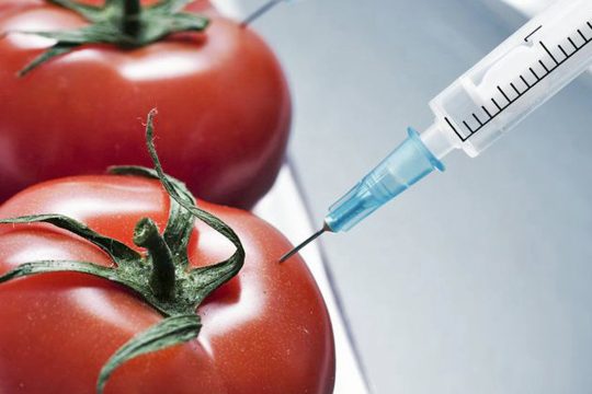 Μεταλλαγμένα, το χρυσό μονοπώλιο των πολυεθνικών